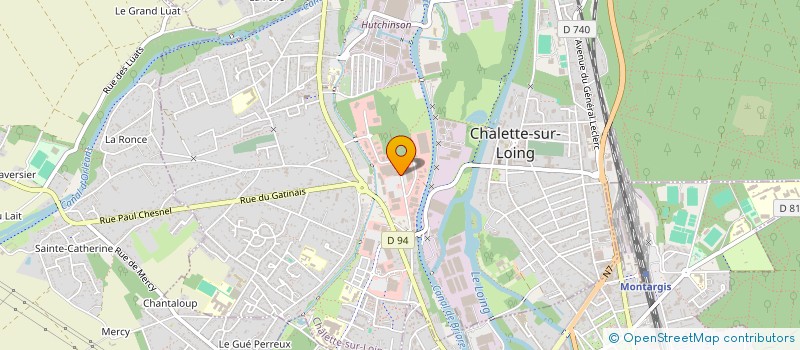 localisation de l'entreprise RODINA MARKET à CHALETTE-SUR-LOING