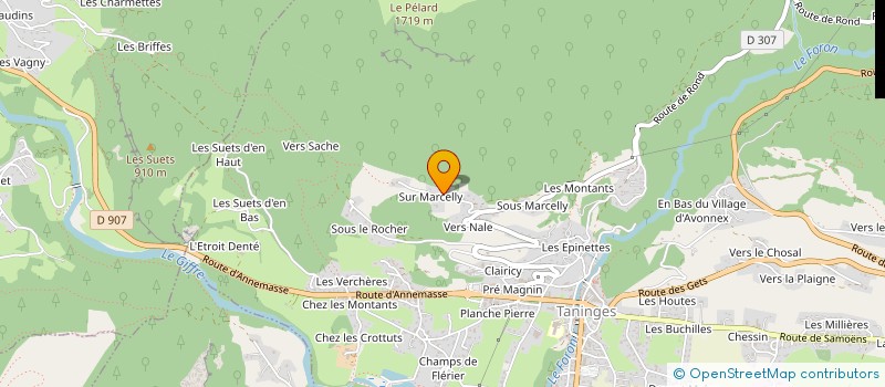 localisation de l'entreprise ROIZOT FAMILY  TANINGES