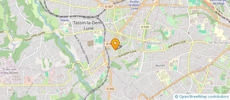 localisation de l'entreprise ROMA CONSEILS ET SERVICES à TASSIN-LA-DEMI-LUNE