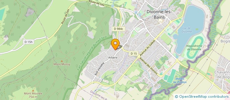 localisation de l'entreprise ROMACLO IMMO  DIVONNE-LES-BAINS