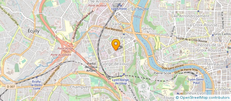 localisation de l'entreprise ROMAIN  LYON