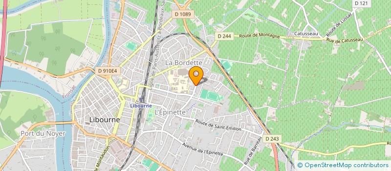 localisation de l'entreprise ROMAIN DEGREMONT  SAINT-ANDRE-DE-CUBZAC