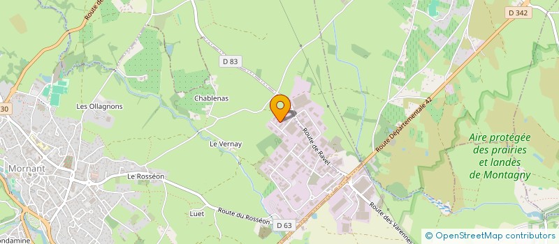 localisation de l'entreprise ROMAIN JARDIN  MORNANT