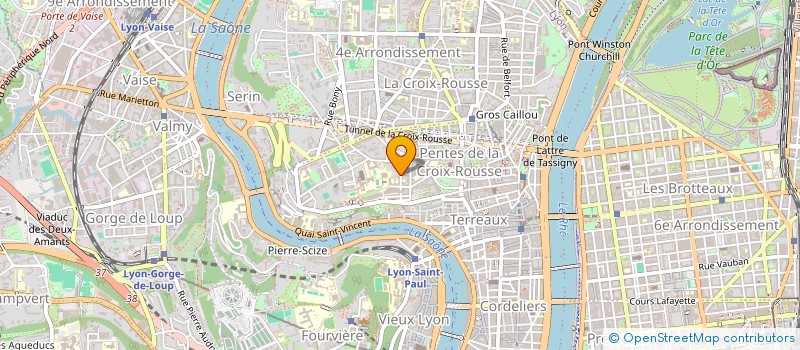 localisation de l'entreprise ROMAN FLEUVE à LYON