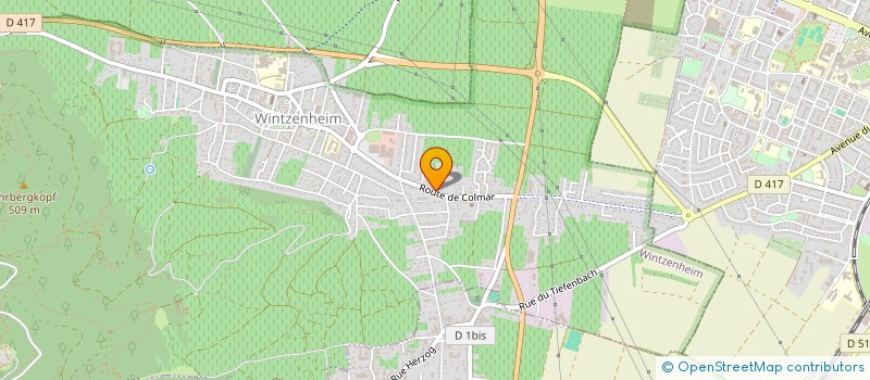 localisation de l'entreprise ROMANDIET à WINTZENHEIM