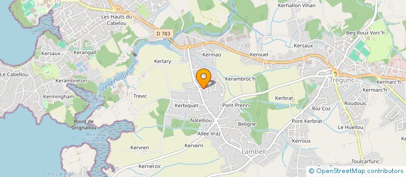 localisation de l'entreprise ROMAX  TREGUNC