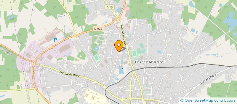 localisation de l'entreprise ROMORANTIN FUTSAL CLUB  ROMORANTIN-LANTHENAY