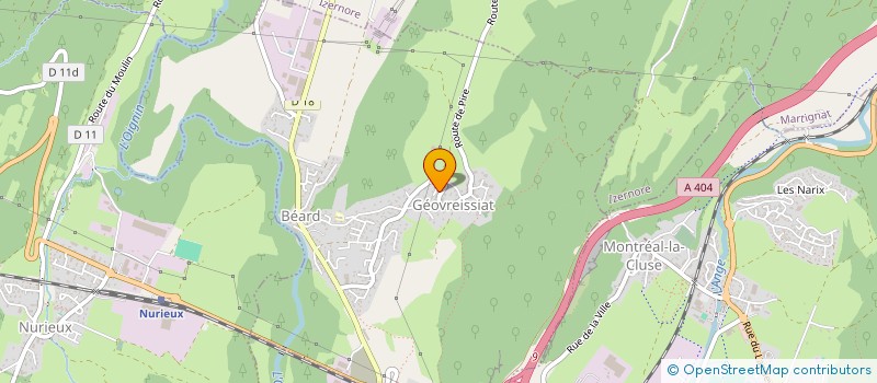 localisation de l'entreprise RONADIS à BEARD-GEOVREISSIAT