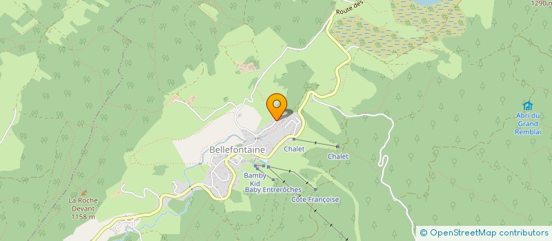 localisation de l'entreprise RONDOT DES REPLATS  BELLEFONTAINE