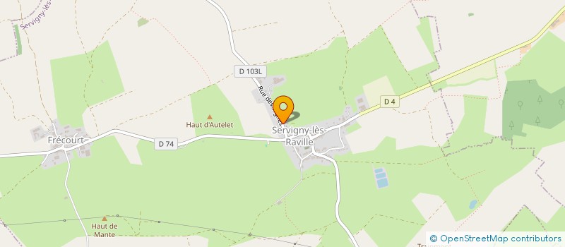 localisation de l'entreprise RONFORT GESTION  SERVIGNY-LES-RAVILLE