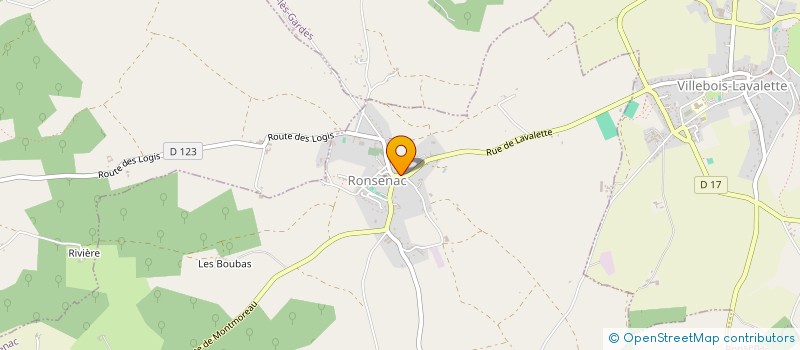 localisation de l'entreprise RONSEBORD  RONSENAC