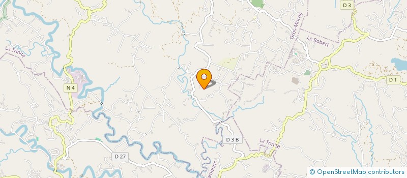 localisation de l'entreprise ROOTS 213  GROS-MORNE