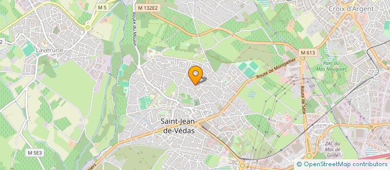 localisation de l'entreprise RORAY  SAINT-JEAN-DE-VEDAS