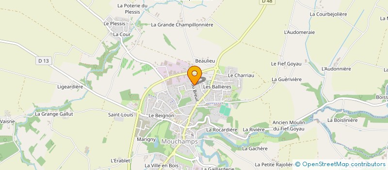 localisation de l'entreprise ROROETANNESO  MOUCHAMPS