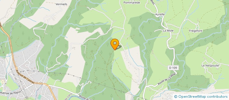 localisation de l'entreprise ROS GUILLAUME  SAINT-AMANS-SOULT