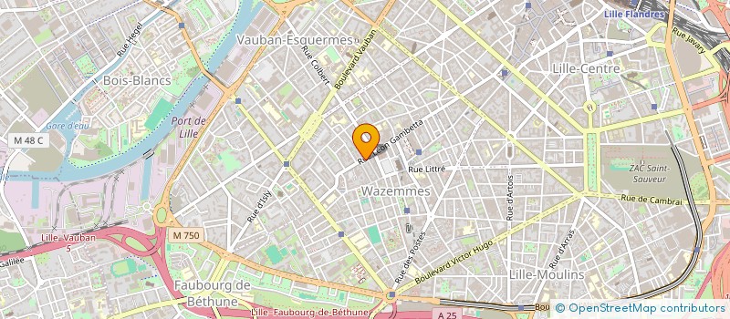 localisation de l'entreprise ROSARIO ET FILS à LILLE