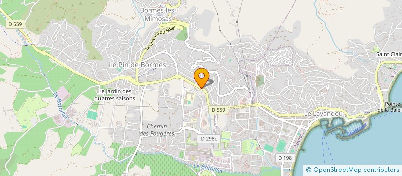 localisation de l'entreprise ROSE ET RUBAN BELLE à BORMES-LES-MIMOSAS
