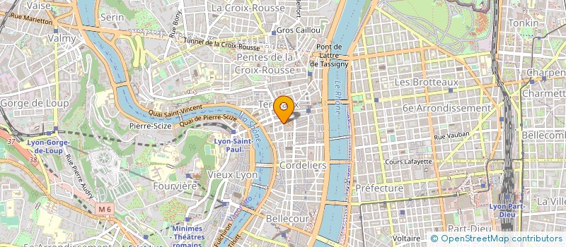 localisation de l'entreprise ROSEN MAX SASU à LYON