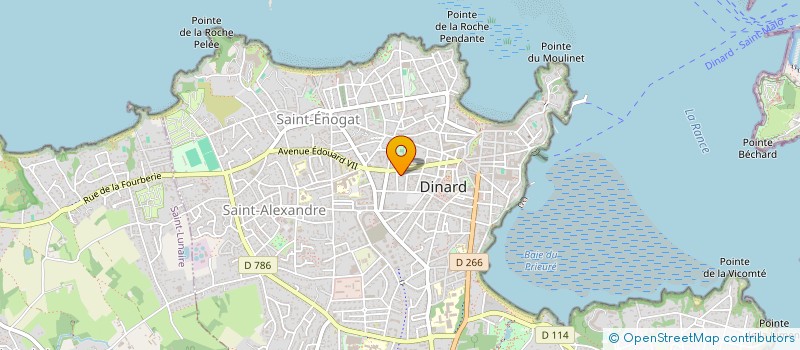 localisation de l'entreprise ROSES-THE  DINARD