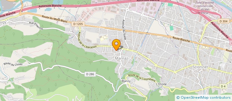 localisation de l'entreprise ROSSPEED TECHNOLOGIE  MARNAZ