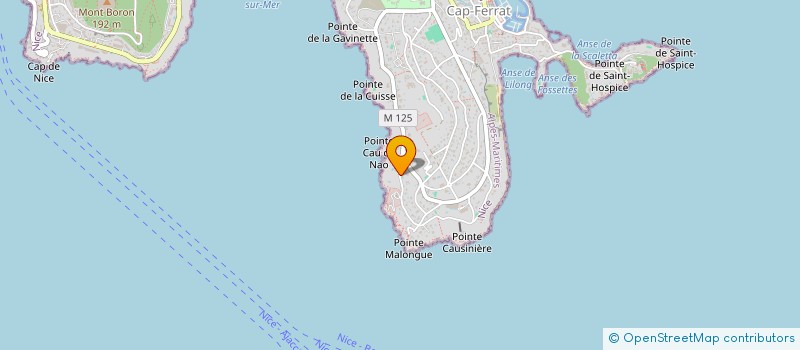 localisation de l'entreprise ROTARY-CLUB DE BEAULIEU, EZE, VILLEFRANCHE, SAINT-JEAN-CAP-FERRAT  SAINT-JEAN-CAP-FERRAT