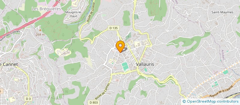 localisation de l'entreprise ROTIN PLUS  VALLAURIS