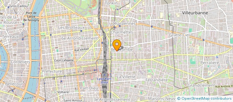 localisation de l'entreprise ROUGEMURAILLE  LYON