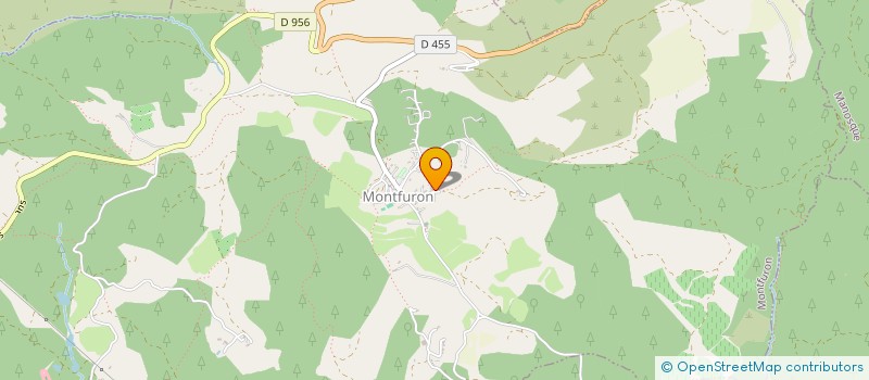 localisation de l'entreprise ROUGER-LE NOUVEAU TRIDENT  MONTFURON