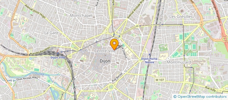 localisation de l'entreprise ROUSSEAU IMMOBILIER  DIJON