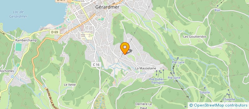 localisation de l'entreprise ROUSTAN ALEXANDRE ET ROZMARYNOWSKI CLAUDE  GERARDMER