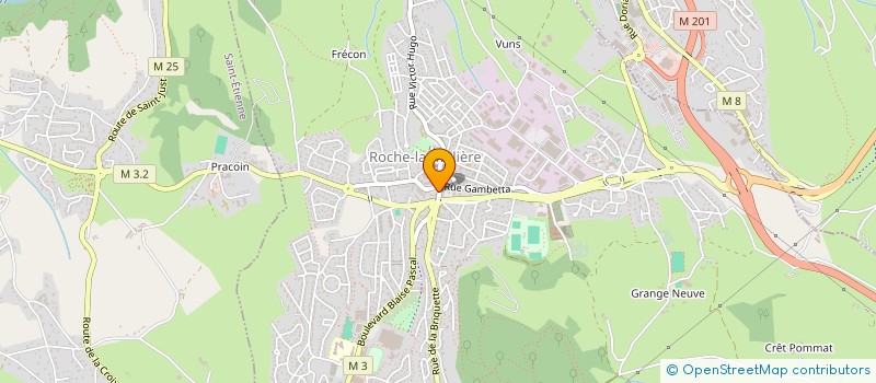 localisation de l'entreprise ROUVETSASU à ROCHE-LA-MOLIERE