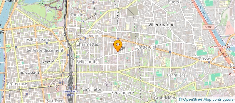 localisation de l'entreprise ROWING SERVICES  VILLEURBANNE