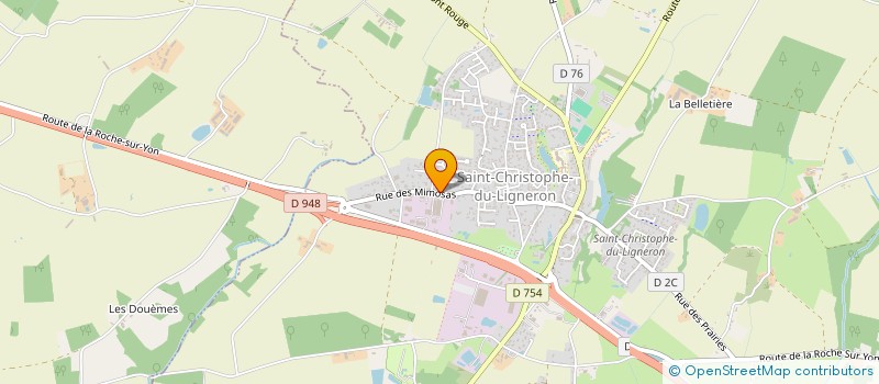 localisation de l'entreprise ROY à SAINT-CHRISTOPHE-DU-LIGNERON