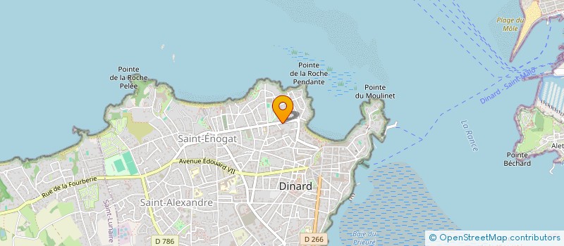 localisation de l'entreprise ROY-VERLODT  DINARD