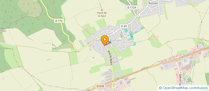 localisation de l'entreprise ROYAL DE CHINE  COSNES-ET-ROMAIN