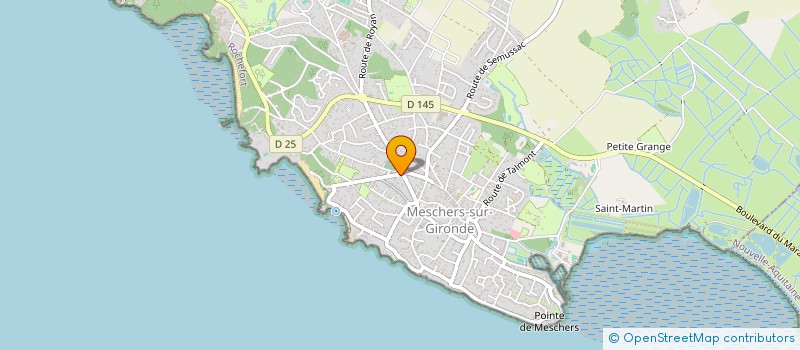 localisation de l'entreprise ROYAN INTERACTIVE  MESCHERS-SUR-GIRONDE