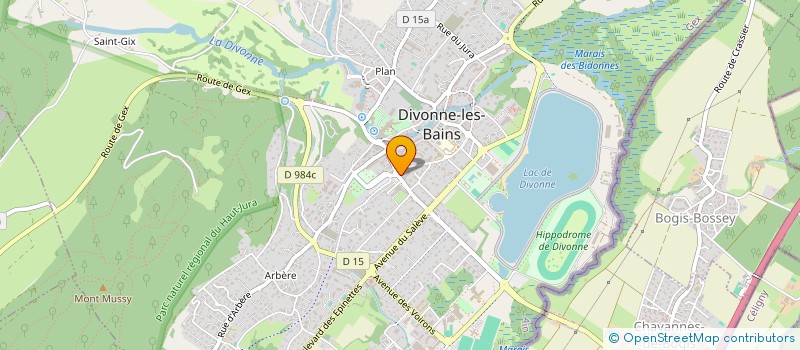 localisation de l'entreprise ROYER SA à DIVONNE-LES-BAINS