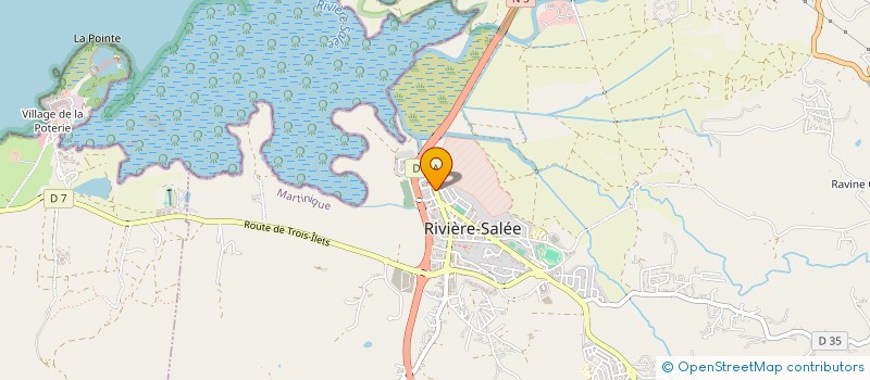 localisation de l'entreprise ROZEN  RIVIERE SALEE