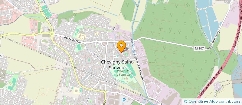 localisation de l'entreprise RP TRANSPORT à CHEVIGNY-SAINT-SAUVEUR