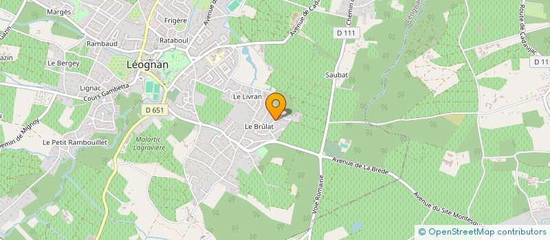 localisation de l'entreprise RS DEVELOPPEMENT  LEOGNAN