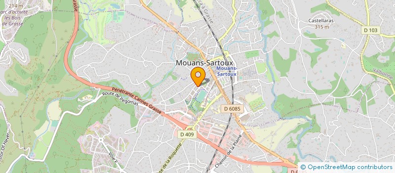 localisation de l'entreprise RS DEVELOPPEMENT à MOUANS-SARTOUX