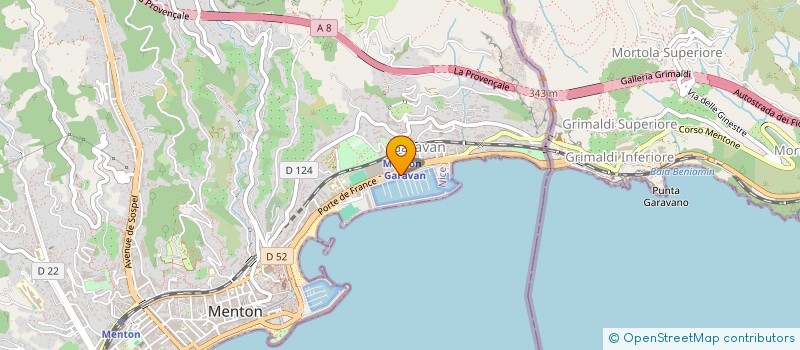 localisation de l'entreprise RS RENT ELEC ECO à MENTON