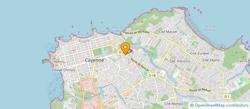 localisation de l'entreprise RS SERVICES +  CAYENNE