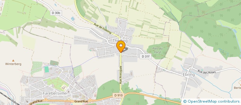 localisation de l'entreprise RS TAXI  THEDING