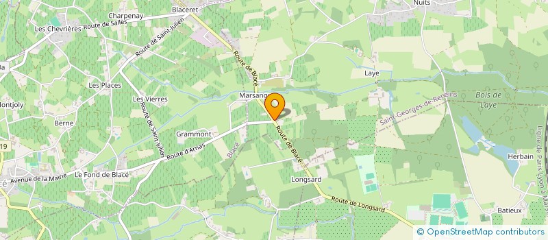 localisation de l'entreprise RSB  SAINT-GEORGES-DE-RENEINS