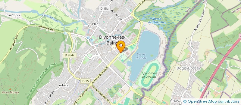 localisation de l'entreprise RSMMSMS  DIVONNE-LES-BAINS