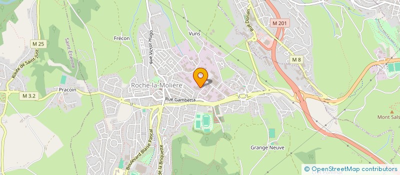 localisation de l'entreprise RSPI à ROCHE-LA-MOLIERE