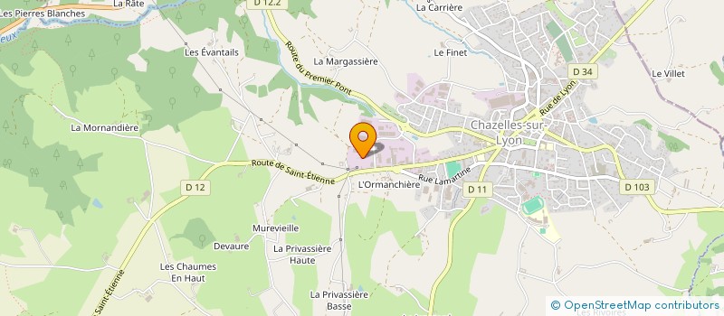 localisation de l'entreprise RSV IMMO  CHAZELLES-SUR-LYON