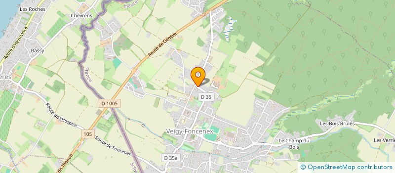 localisation de l'entreprise RT FOREVER  VEIGY-FONCENEX