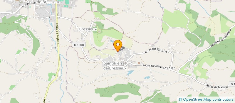 localisation de l'entreprise RTMC2  SAINT-PIERRE-DE-BRESSIEUX
